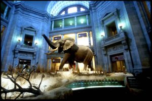 Smithsonian Natural History Museum