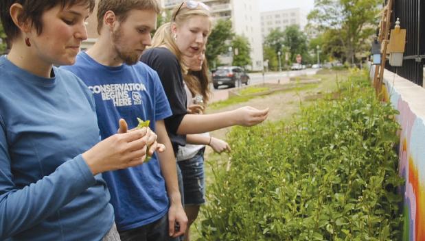 Gardening at GW