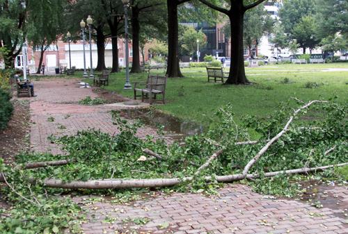 Tree branches collapsed and obstructed the brick path in University Yard. Jordan Emont | Assistant Photo Editor