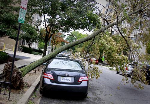 A tree uprooted and fell on a car parked on 21st and F streets. Jordan Emont | Assistant Photo Editor