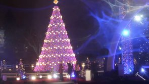 First family lights national Christmas tree