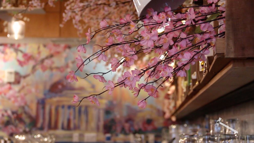 Cherry blossom pop-up bar opens in Shaw