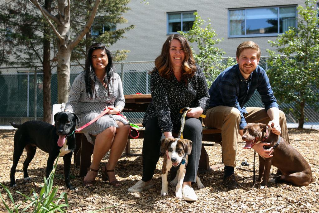 From left to right: Marcella Wong, an area coordinator, Nancy Ross Tomchik, an area coordinator, and David Marquis, a program coordinator at the Center for Student Engagement pose with their dogs. The housing office allowed staff members who live in residence halls to have dogs for the first time this semester.