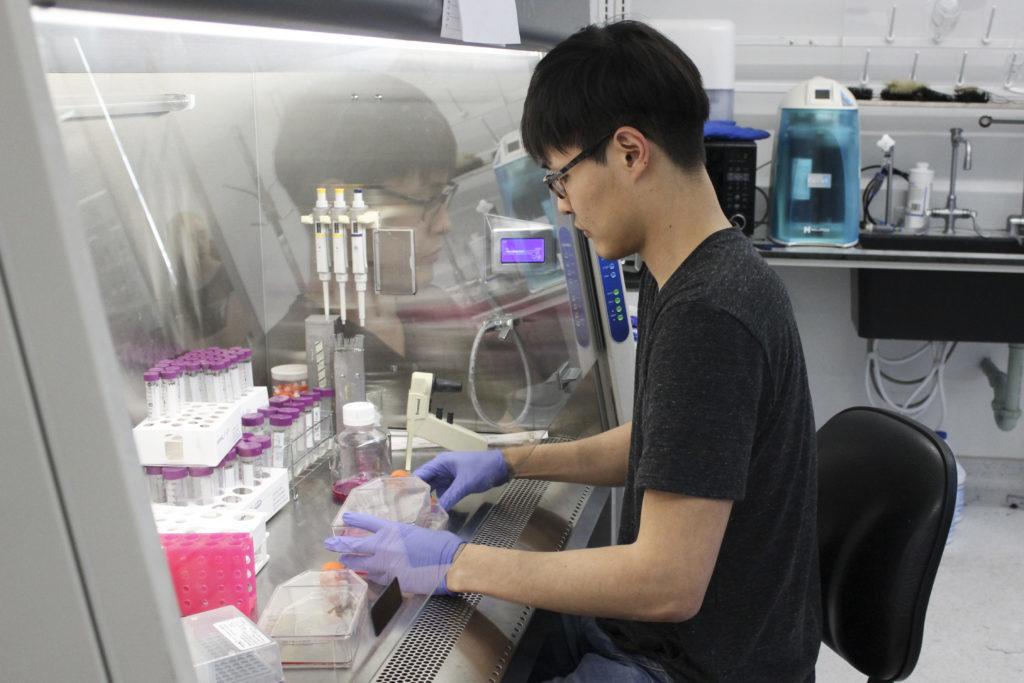 Se-jun Lee, a doctoral student studying materials science and tissue engineering, is working with a group of researchers in the School of Engineering and Applied Sciences to use 3D printers to build artificial nerve tissues in hopes of treating patients with nerve and bone damage.