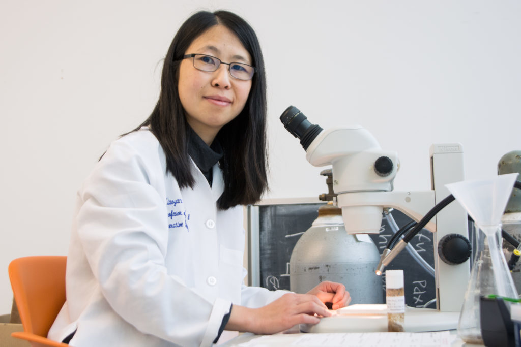 Xiaoyan Zheng, an assistant professor of anatomy and regenerative biology, said her research can potentially create treatments for birth defects and some cancer types.