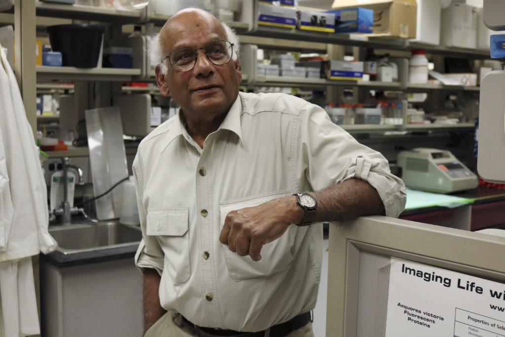 Ajit Kumar, a professor of biochemistry and molecular medicine, said faculty don’t have much use for Lyterati because they don’t need to reflect on their accomplishments.