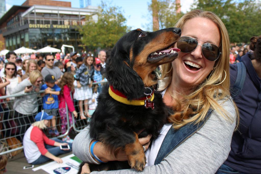 MP Gay congratulates her dachshund, Freddie Von Ruff, for winning the third heat in the annual Wiener 500 Races at Yards Park.