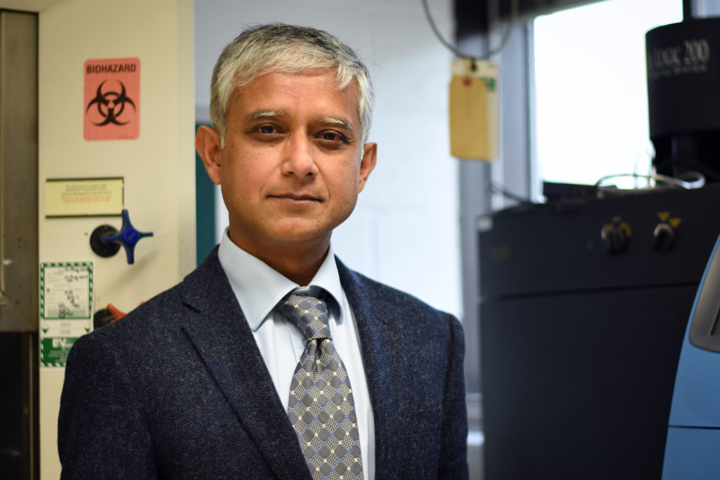 Raja Mazumder, an associate professor of biochemistry and molecular medicine, said the program will enable researchers to have easy access to data on how genetic codes are produced.