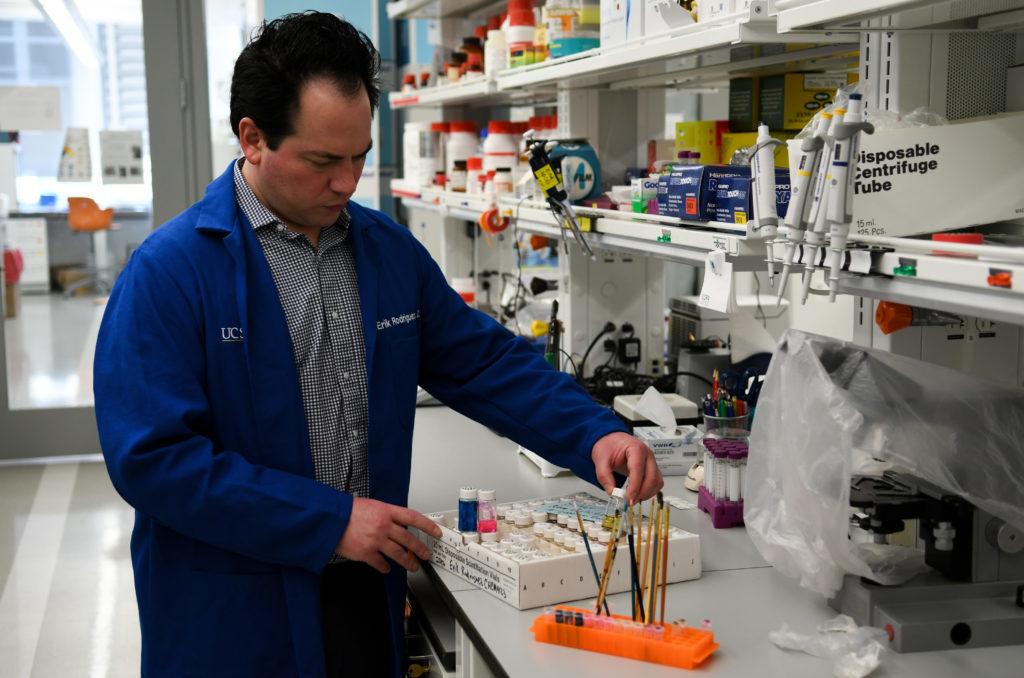 Erik Rodriguez, an assistant professor of chemistry, conducts research and creates art using fluorescent proteins in his lab in the Science and Engineering Hall. 