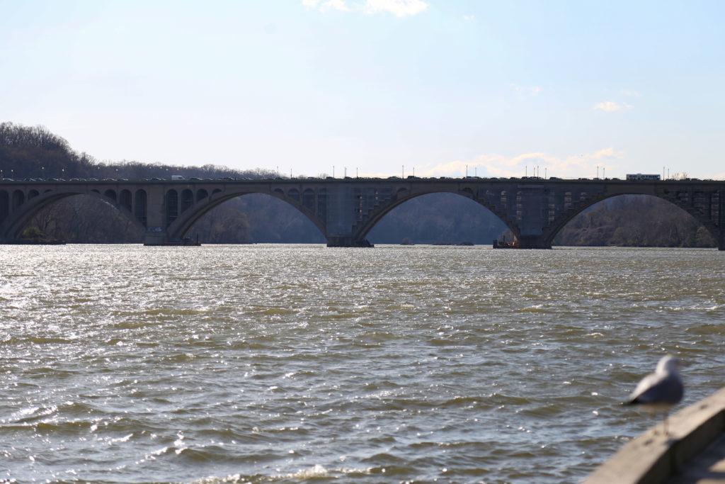 The Potomac Conservancy, a clean water advocacy group, issued the river a “B” rating – indicating improved pollution levels and healthier river life.