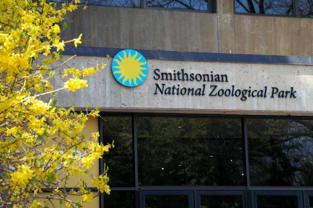Check out a fun-filled afternoon with a talented group of violinists, cellists and other stringed-instrument players in the National Symphony Orchestra at the Smithsonian National Zoo. 