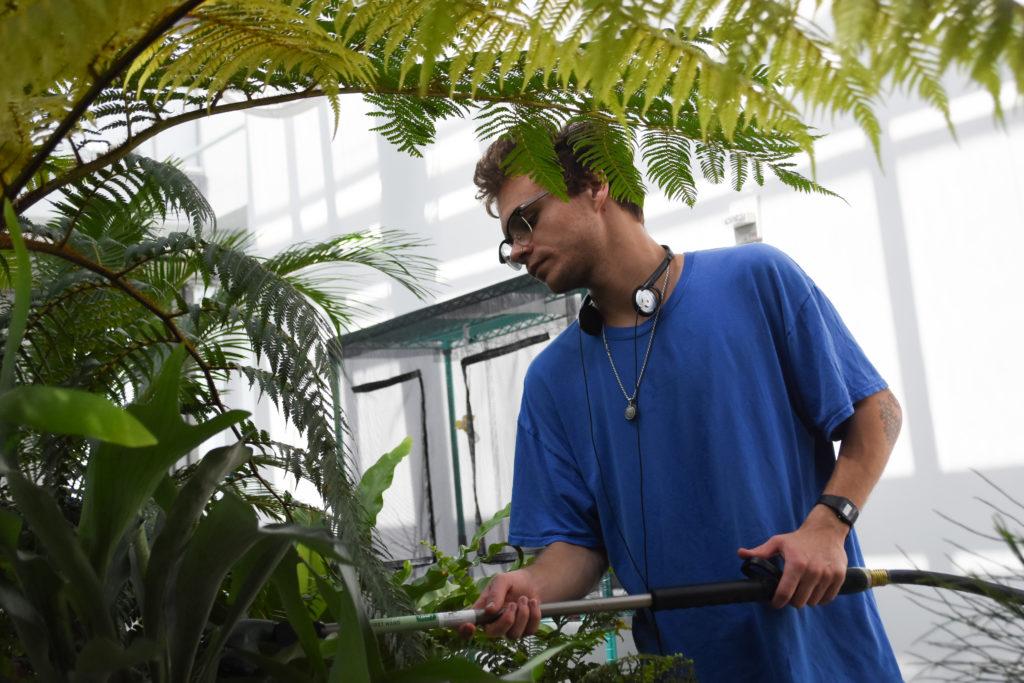 Elijah Aquilina watering plants in the Harlan Greenhouse, where he works as a general greenhouse attendant