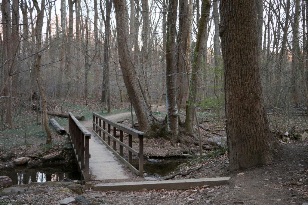 Glover-Archbold Park spans more than 183 acres of the District, leaving more than enough territory to explore. 