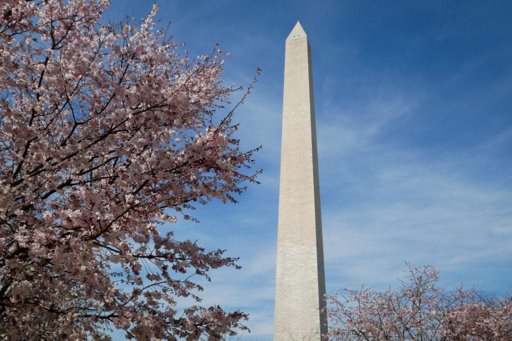 As a part of the National Cherry Blossom Festival, the annual Blossom Kite Festival will take place this Saturday on the National Mall. 