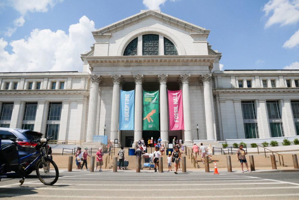 Smithsonian Museum Internships Summer 2024 Karyn Marylou