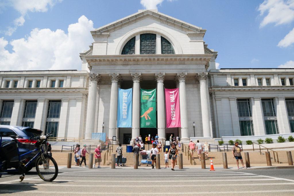The National Museums of Natural History and African Art, the National Air and Space Museum and the National Postal Museum are among the eight facilities opening in the District this summer.