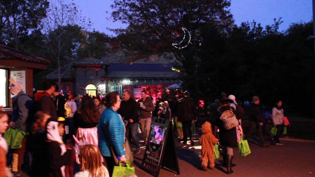National Zoo hosts annual ‘Boo at the Zoo’ festival