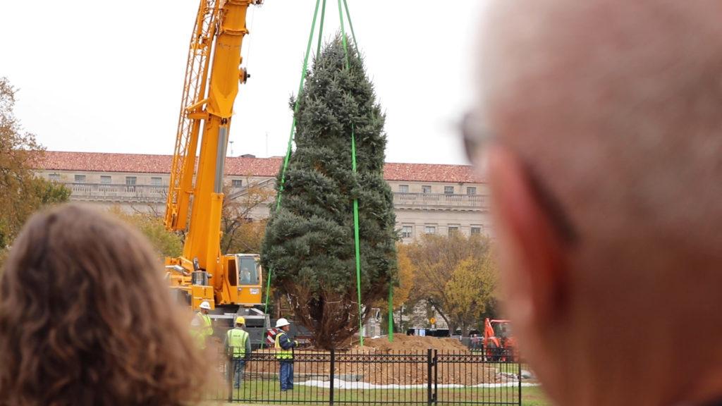 National Parks Service plants National Christmas Tree in Presidents Park