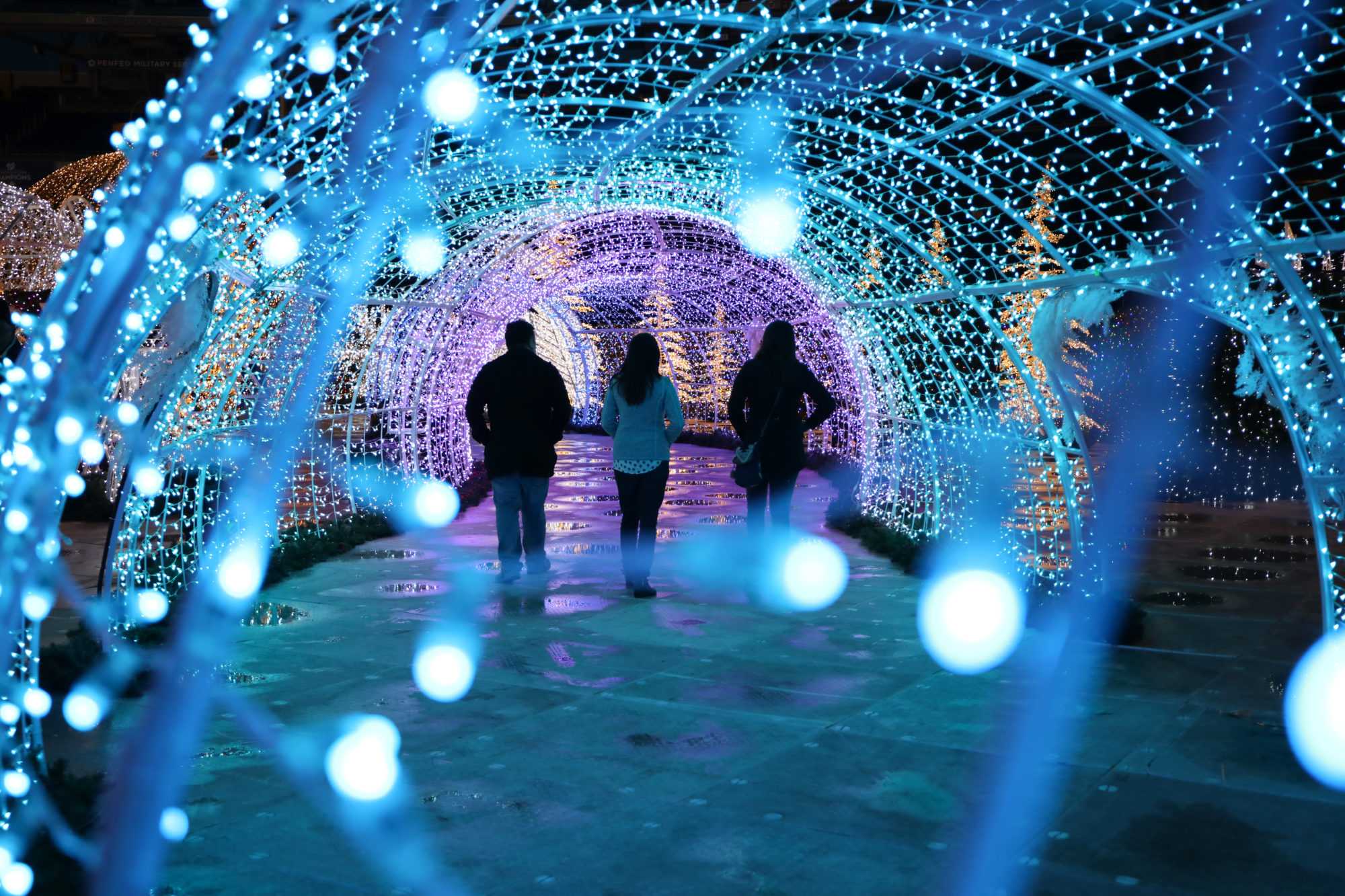 Inside the world’s largest Christmas light maze The GW Hatchet