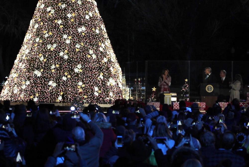 White House celebrates Christmas tree lighting The GW Hatchet