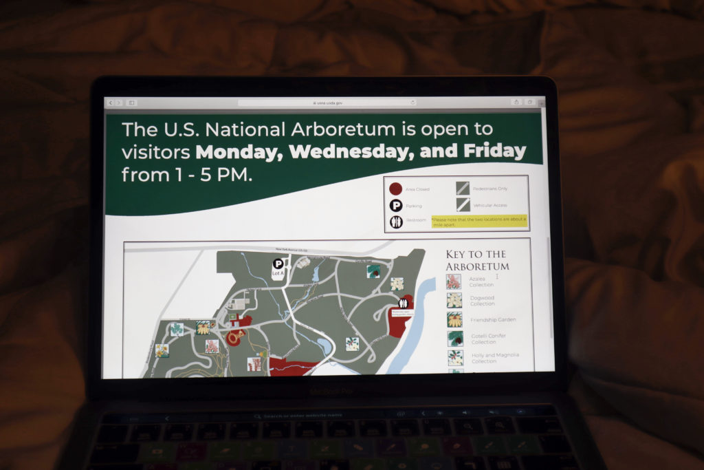 Visit the U.S. National Arboretum, open now with reduced hours, this weekend.