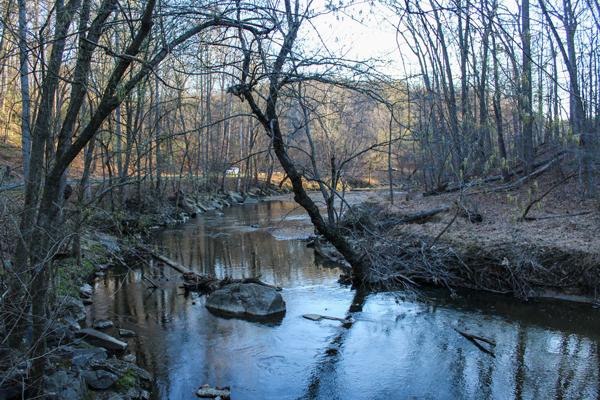 GW Trails is hosting a hike for 10 that covers 4.5 miles through Rock Creek Park.
