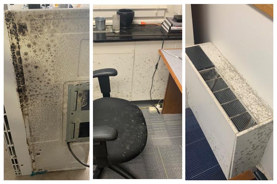 Students and faculty have reported apparent mold in buildings across campus, including The Dakota (left photo from last week) and Building GG (center and right photos from December).
