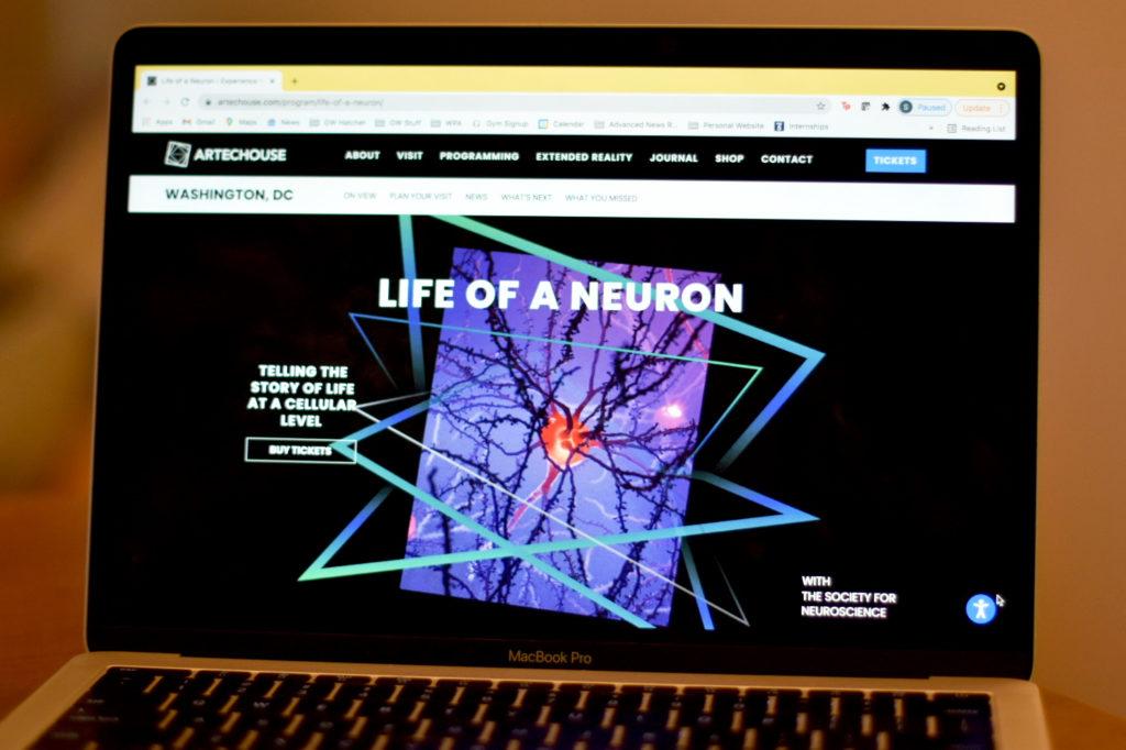 The Life of a Neuron show at ARTECHOUSE, which runs through Nov. 28, lasts 45 minutes to an hour.
