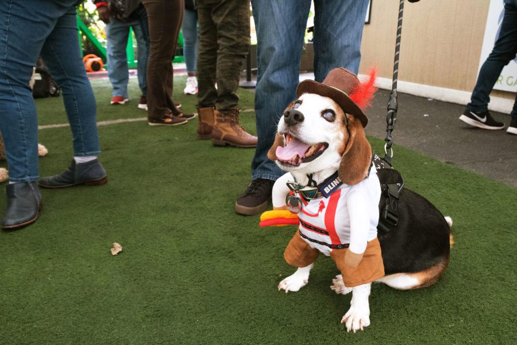 Wunder Garten’s sixth annual Dogtoberfest invites pets and their parents to dress up and enjoy German style beers every Sunday this October from noon to 3 p.m.
