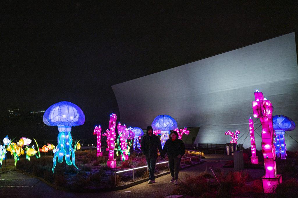 The REACH Winter Lanterns at the Kennedy Center feature a  display of 100 stunning lanterns crafted by Chinese artisans made up of colored LED lights to celebrate the 2022 Lunar New Year.