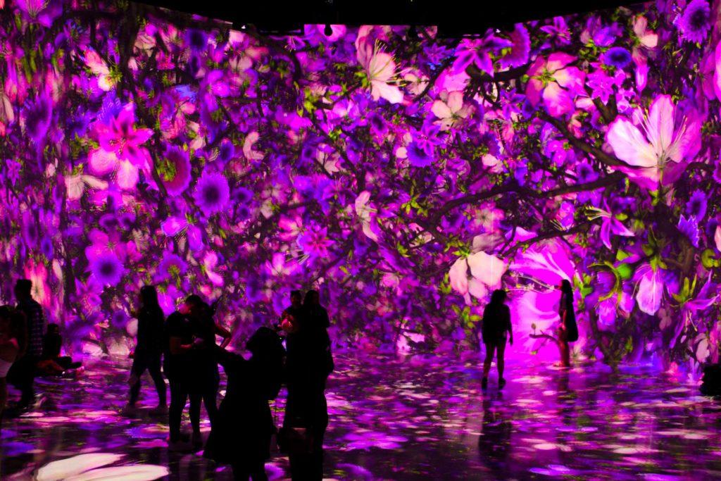 ARTECHOUSE’s current exhibit, “PIXELBLOOM enraptures attendees with beautiful visuals of pastel flowers that move as you walk through the exhibit. 