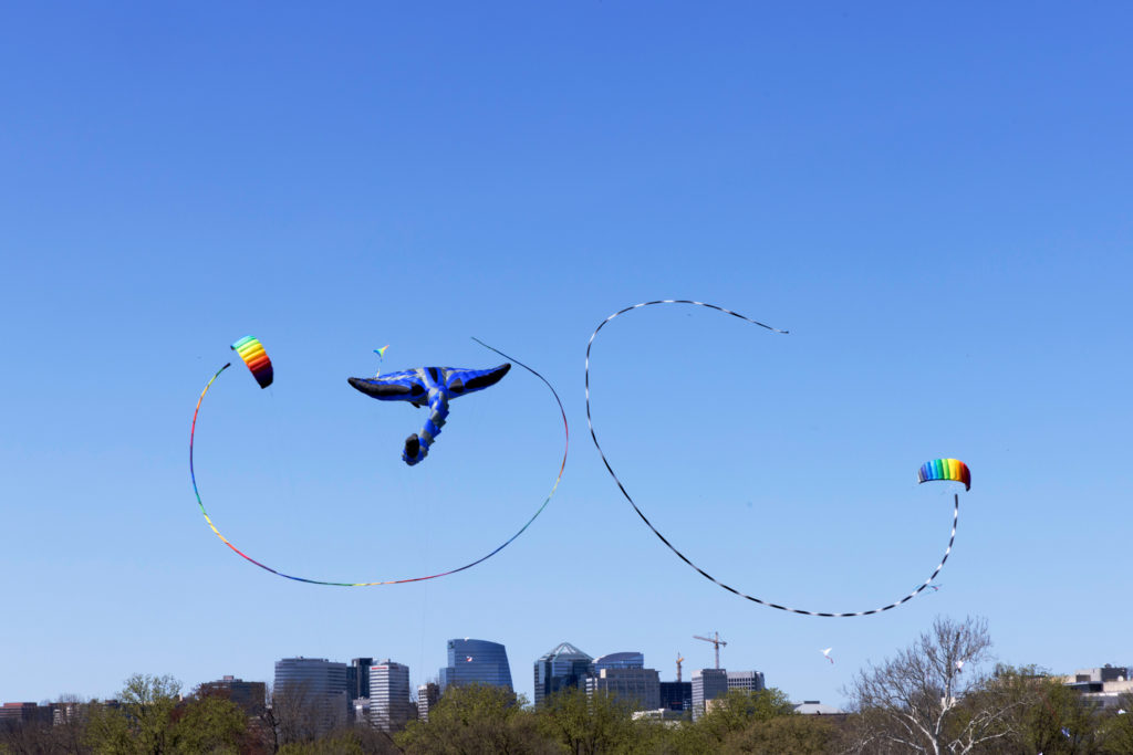 Colorful kites darted across the Sunday sky at the annual Blossom Kite Festival on the National Mall as cherry blossoms reached their peak bloom.