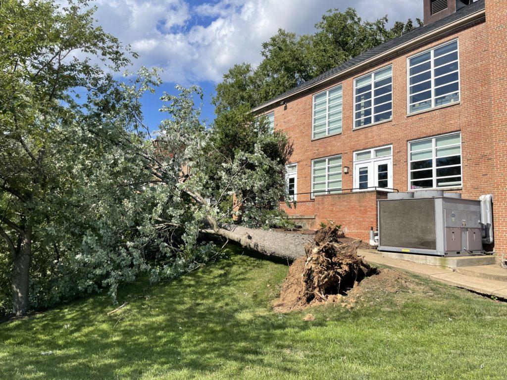 The strong winds, which reached 84 mph on the Vern, knocked down several trees on the satellite campus.