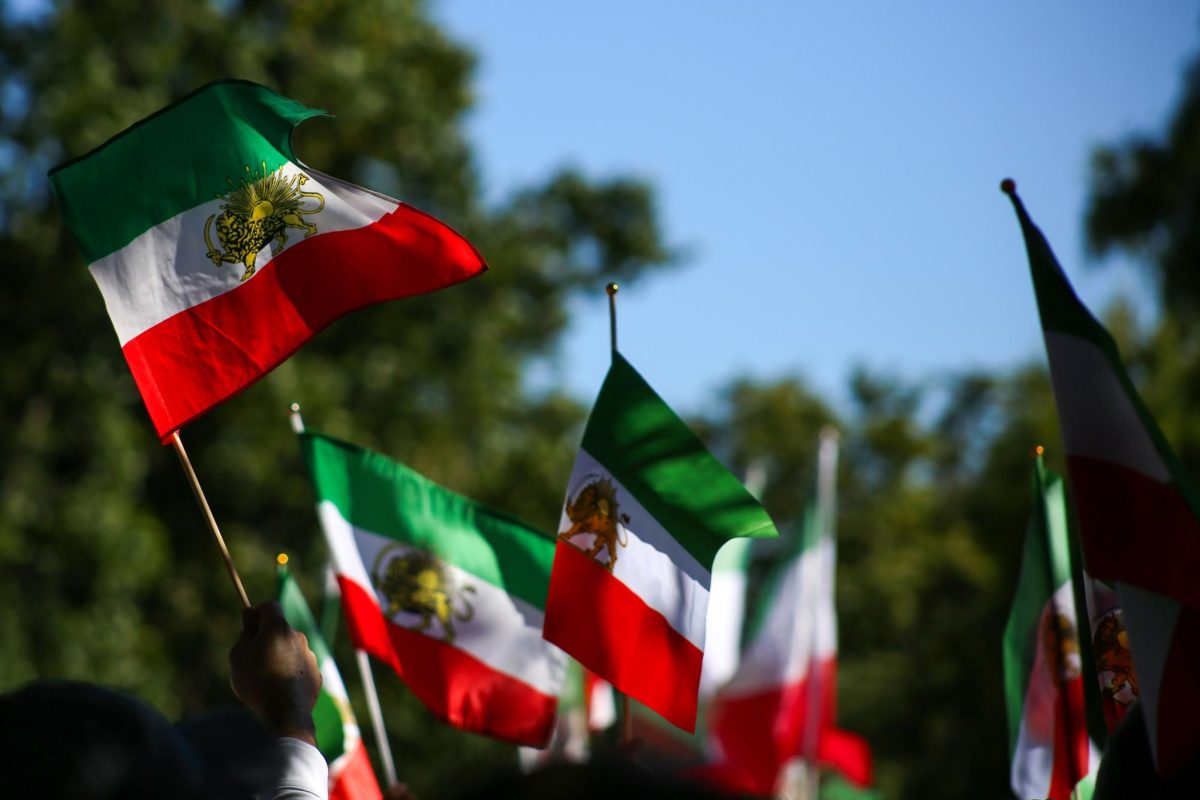 Protestors waved the historic lion and sun flag of Iran during the protest at Lafayette Park on Saturday, a symbol of opposition to the Iranian regime.
