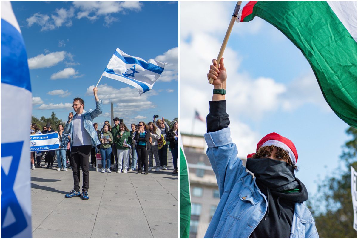 Demonstrators wave flags during the two rallies Sunday.