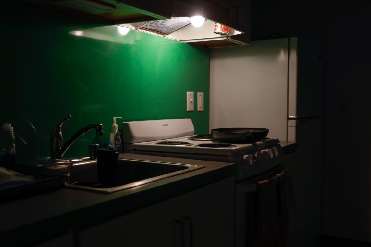 An overhead light shines on a District House kitchenette. 