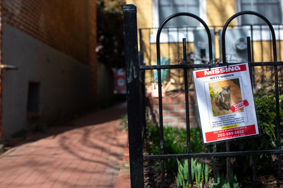 Posters decrying the disappearance of Kitty Snows were posted throughout the historic Foggy Bottom neighborhood. 