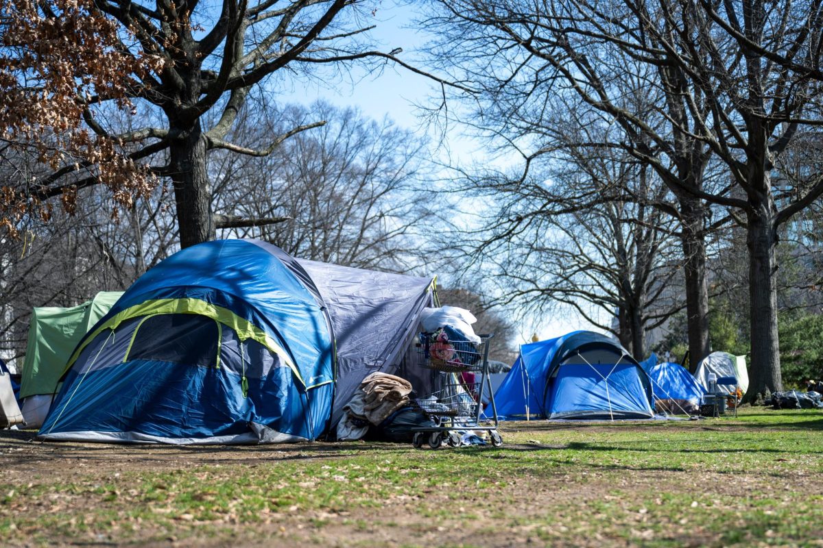 Tents sit in the E Street Triangle Park encampment.