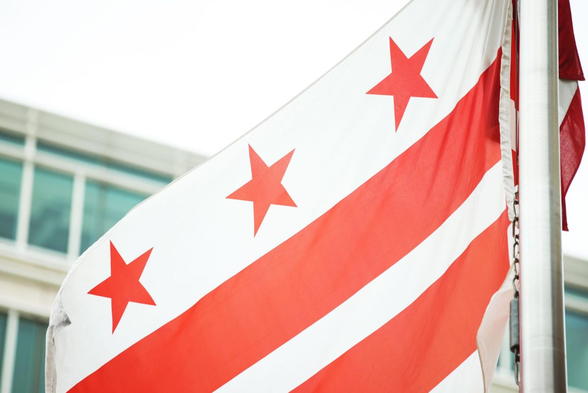 A D.C. flag flutters in the wind.