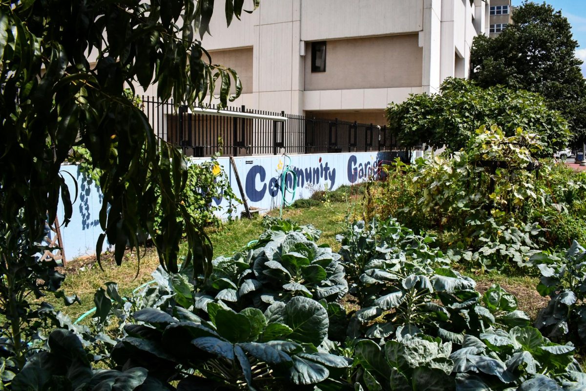 The GroW Garden located at the intersection of H and 24th streets.