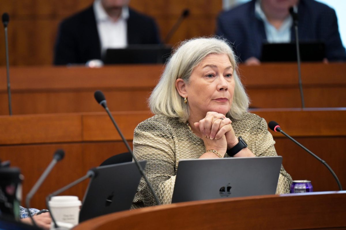 University President Ellen Granberg observes a Faculty Senate meeting earlier this month.