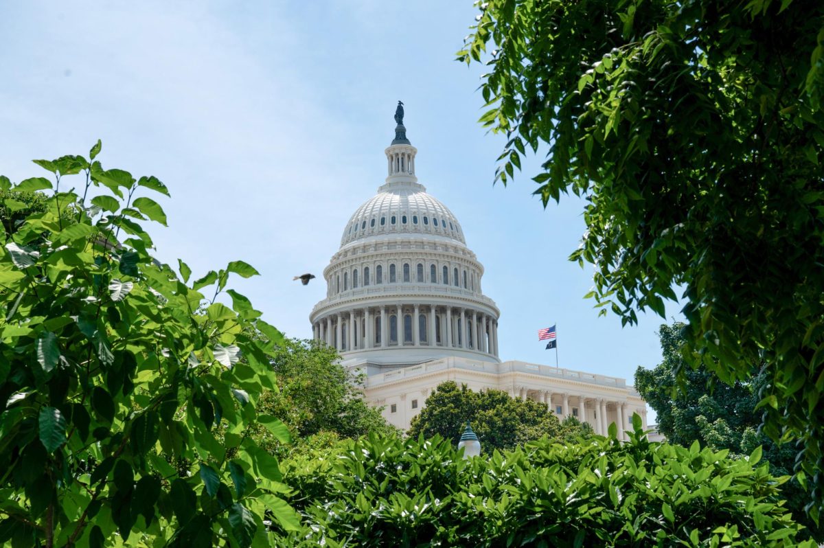 A bird flies past the Capitol building on a sunny day in August.