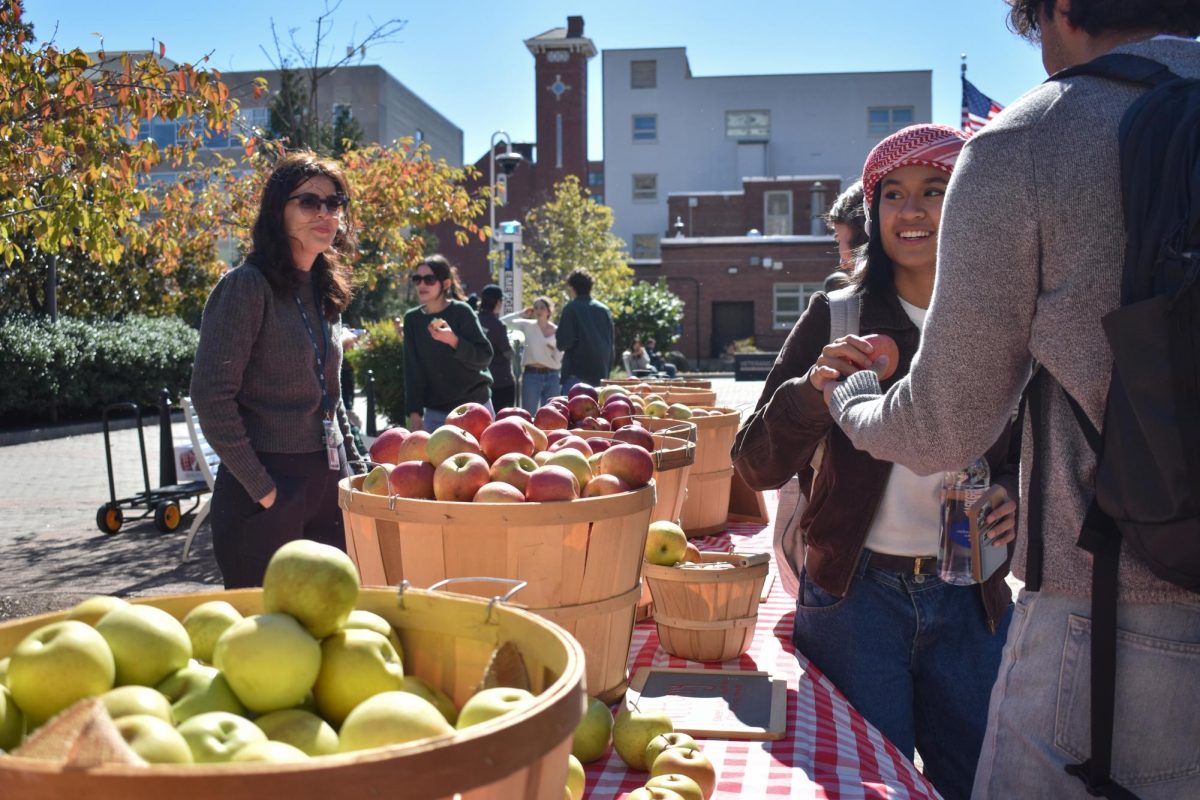 In Kogan Plaza, students peruse a wide selection of free, locally-grown apples for Apple Day, an annual GW tradition celebrating the fall harvest.