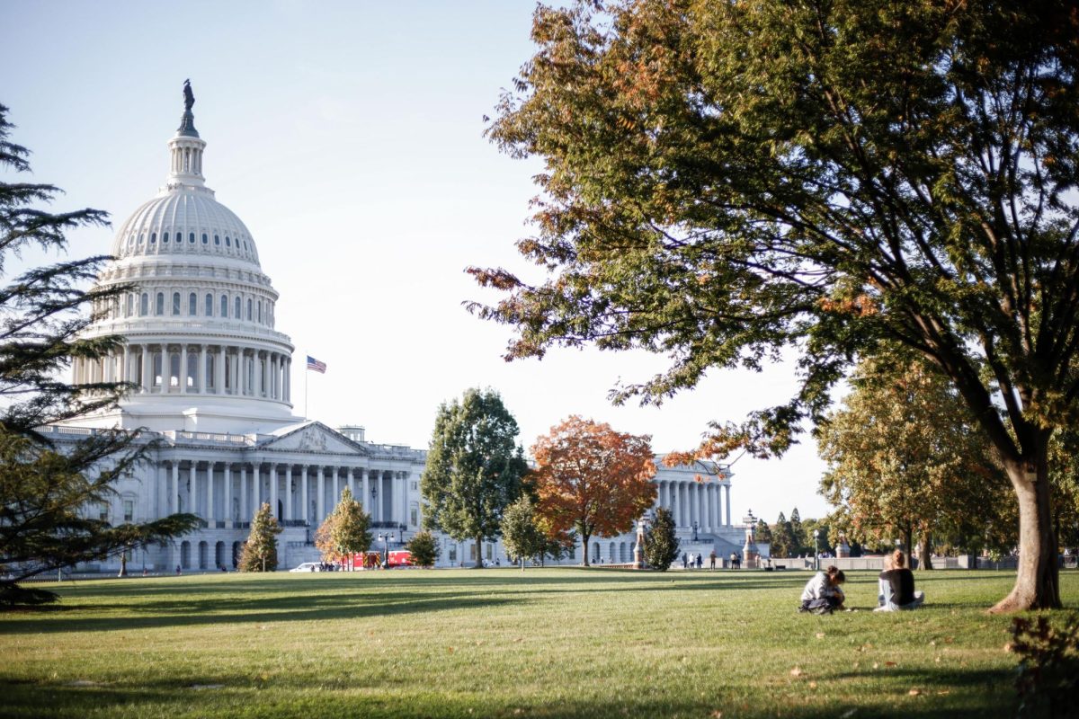 People picnic on the East lawn of the Capitol