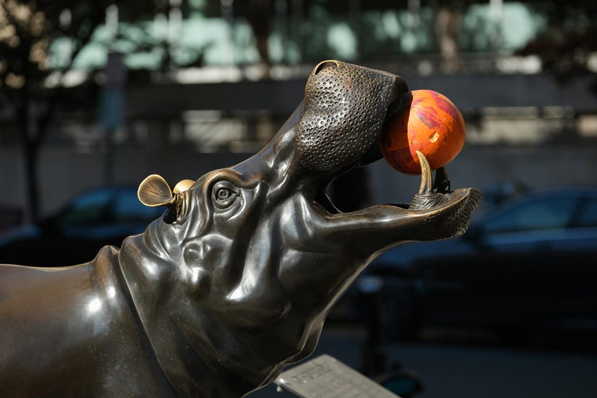 The River Horse sculpture in front of Lisner Auditorium clenching a pumpkin in its tusks.