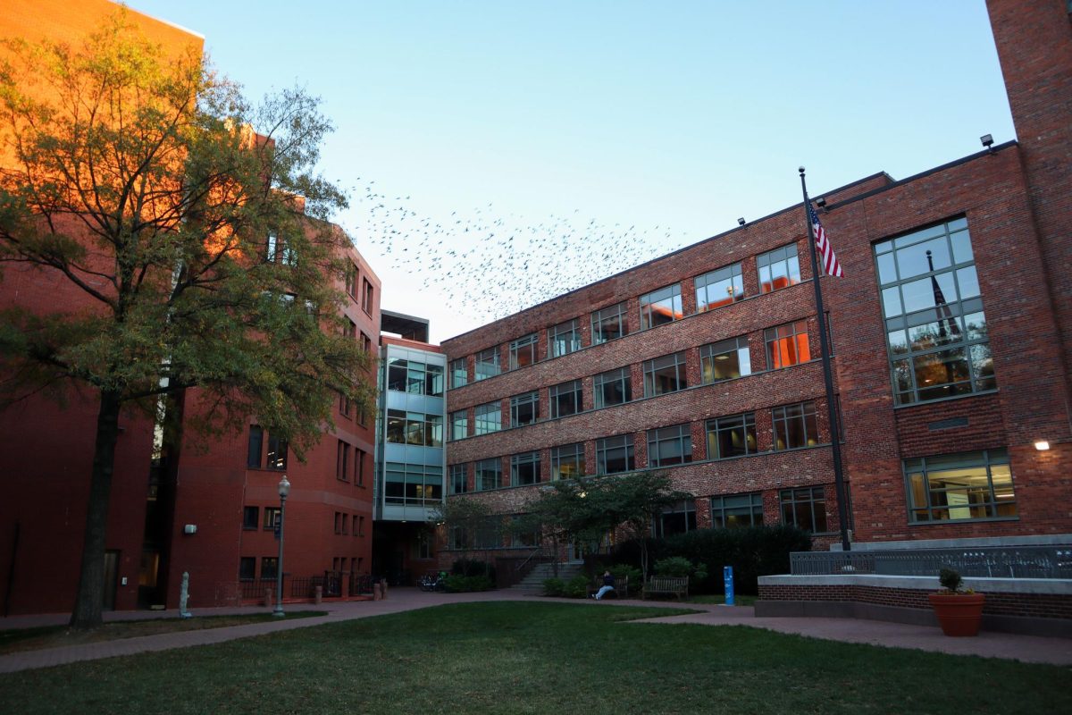 Birds fly over the Jacob Burns Law Library.