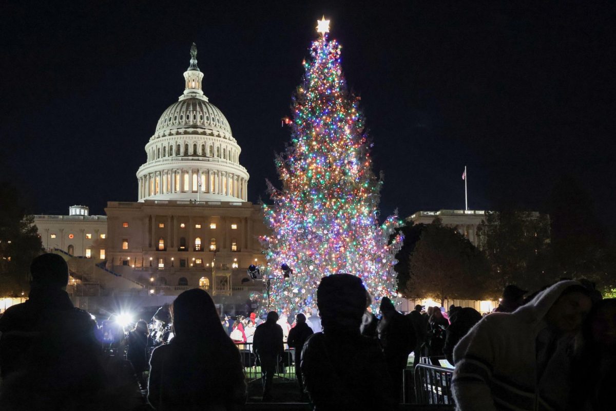 Visitors watch the annual Christmas Tree lighting at the U.S. Capitol.