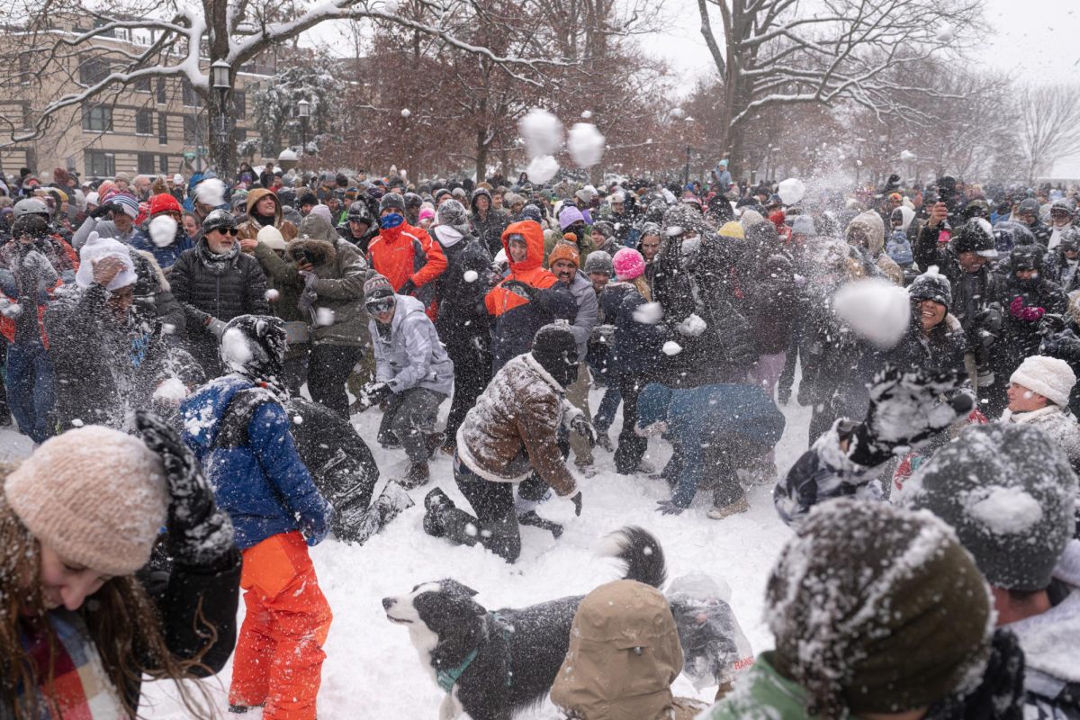 Hundreds met in Meridian Hill Park on 16th Street for a snowball fight last week.
