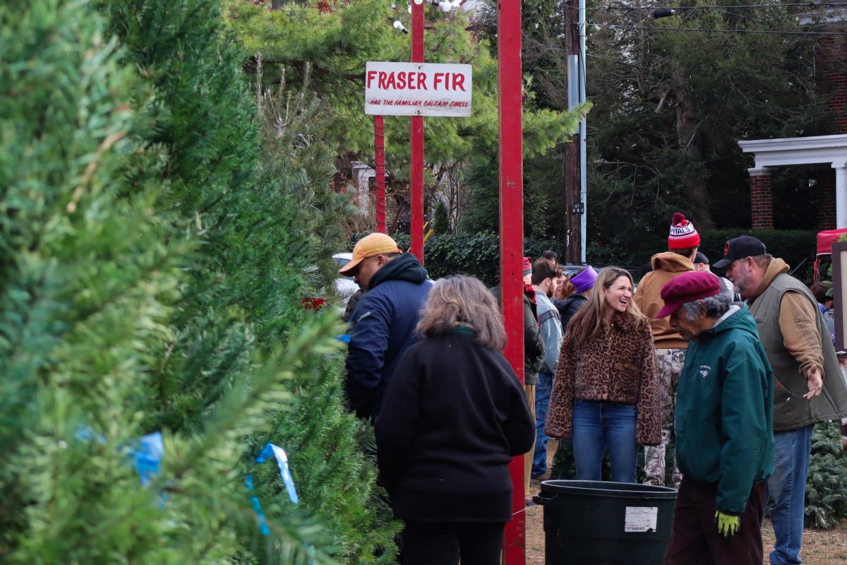 Customers select their Christmas trees at Dan and Bryan Trees.