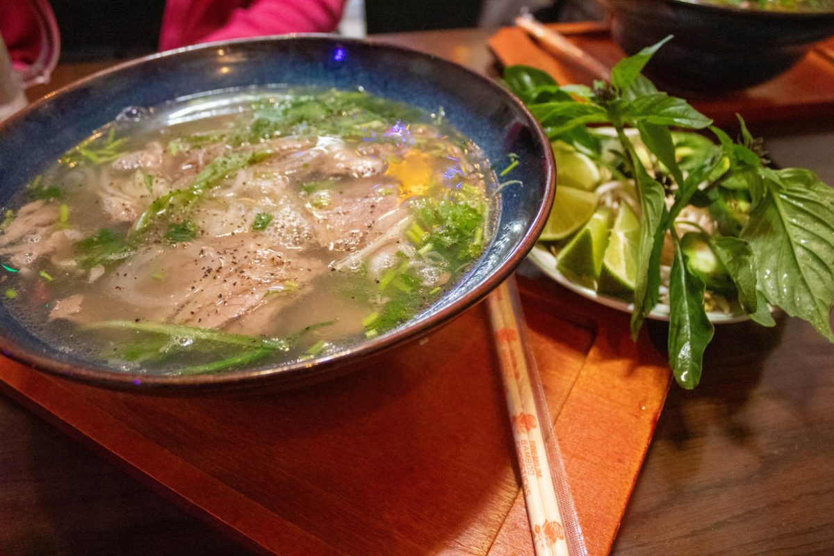 Pho Viet USA's pho tai nam.